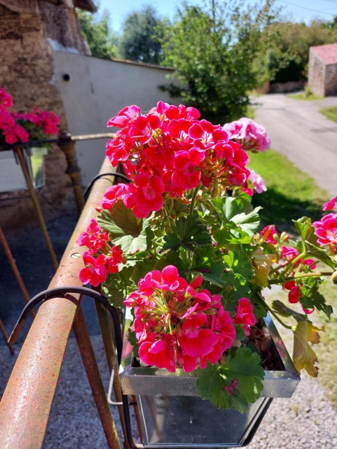 Bed and Breakfast Lazy Days Rancon Esterno foto
