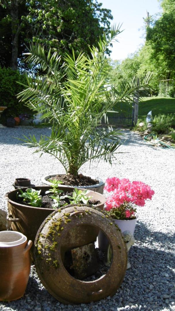 Bed and Breakfast Lazy Days Rancon Esterno foto